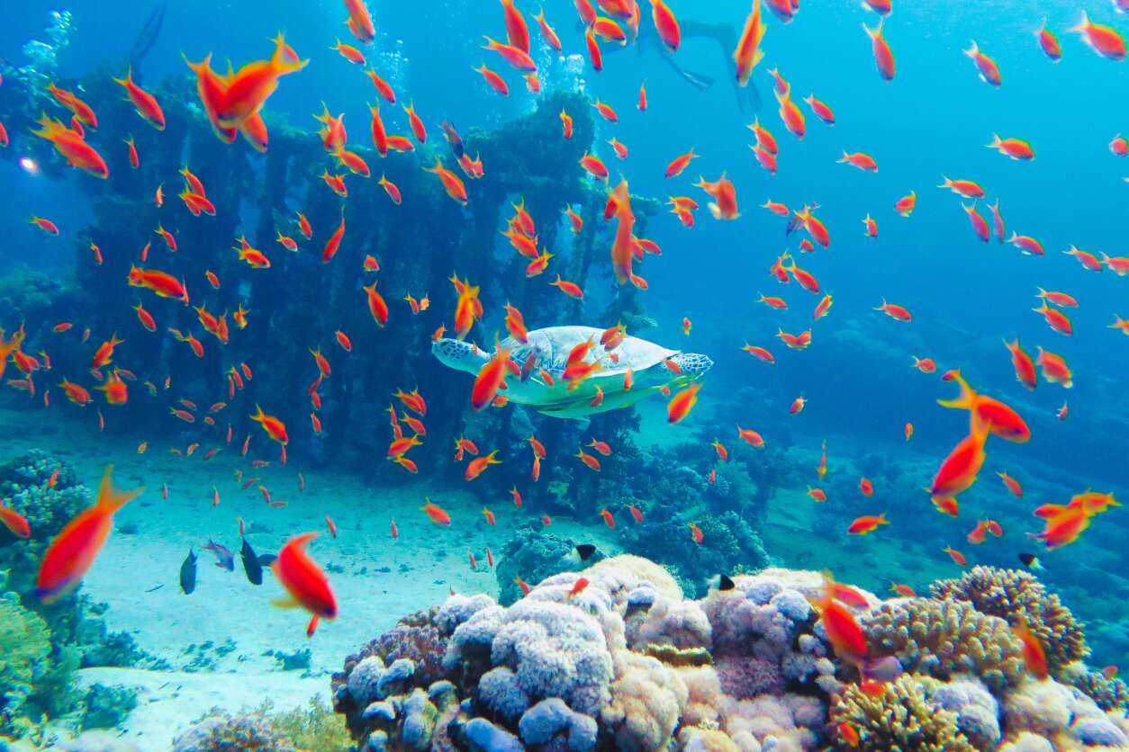 HURGHADA